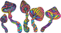mushrooms